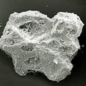 micrograph of pumice particle
